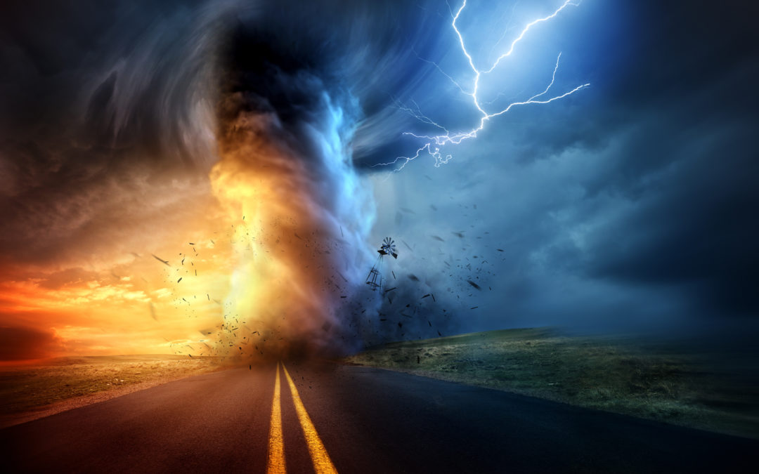 Weathering the Storm